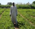 agriculteur devant sa pépinière de jatropha-Sénégal-SOPREEF